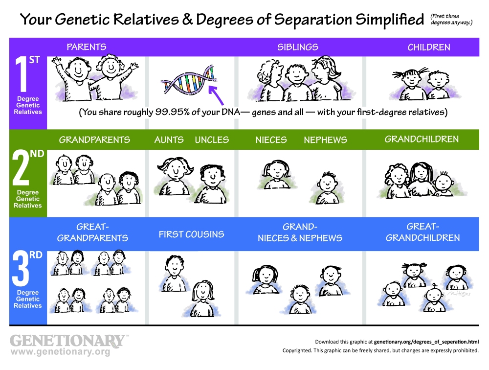 your genetic relatives & degrees of separations simplified