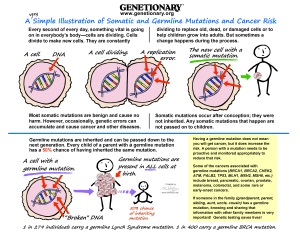 Somatic Mutations Graphic