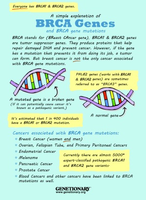 Explaination of BRCA2 mutations