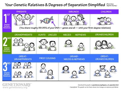 Genetic relatives & degrees of separation graphic thumb